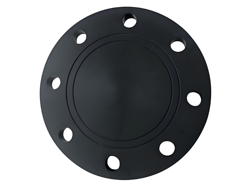 hdpe blind flange (1)