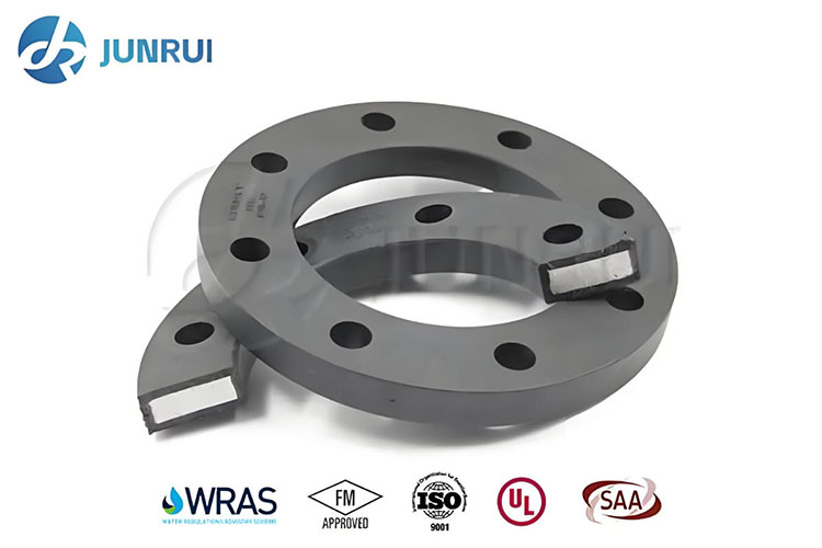 PP-Coated Steel Flange (1)